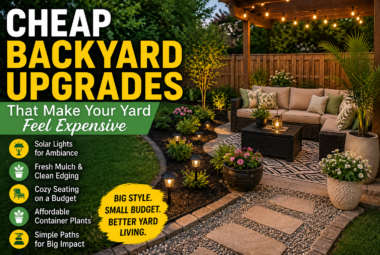 cheap backyard upgrades